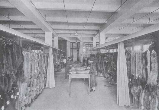 Zicht op de ruimte waar de pelzen gestockeerd weden bij Mallien